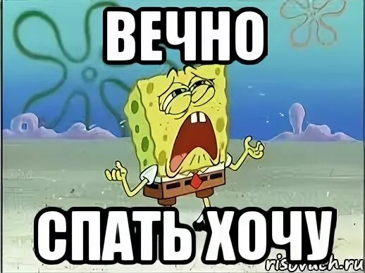 Хочется вечным