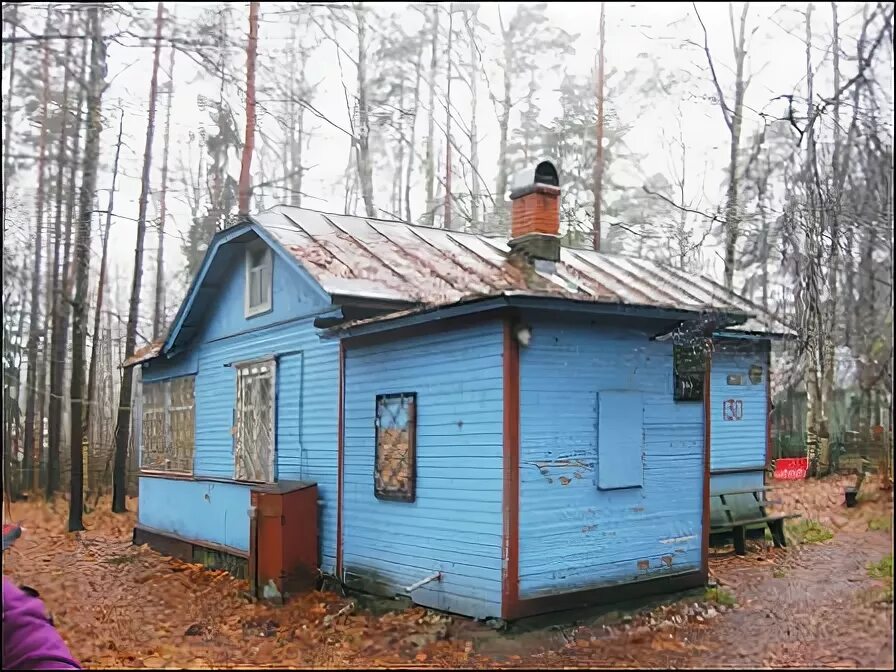 Пригородное дачи спб гупдо. Гуп пригородное спб. Гупдо пригородное репино. Гуп пригородное. Репино дача матвиенко.