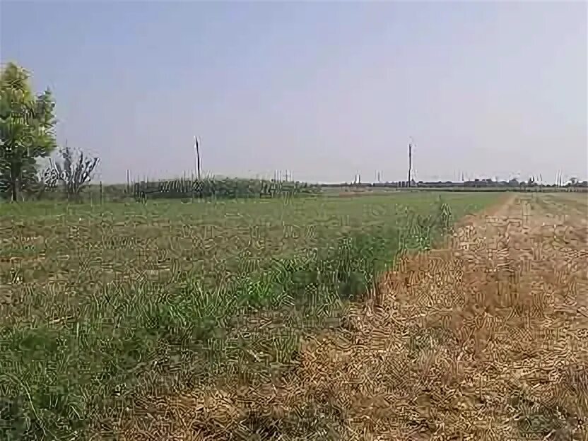 Участок привольный. Участок привольный. Кафе валяевка пенза богословка. Станица привольная краснодарский край дом 48 хрюкина. Участок привольный.