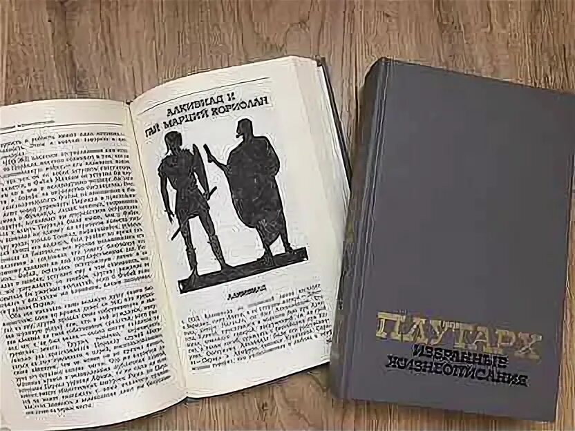 Избранных жизнеописаний плутарха ознакомьтесь с фрагментом царь