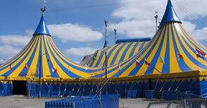 Cirque du Soleil объявил о банкротстве. Компания уволила 90% персонала