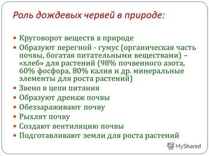 Роль дождевых червей в почвообразовании