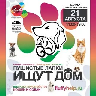 Выставка собак уфа август