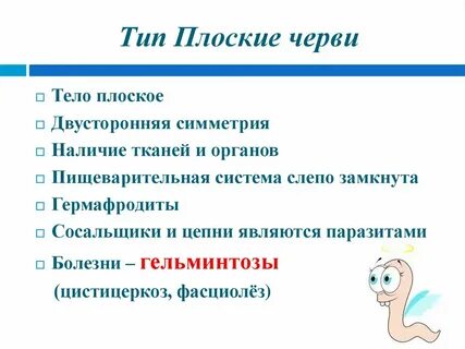 Плоские черви инфоурок