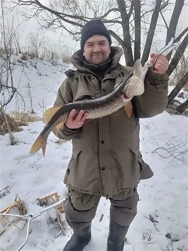 Река упа рыбы. Река упа рыбы