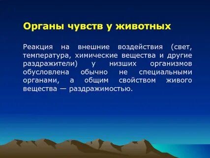 Органы чувств животных презентация