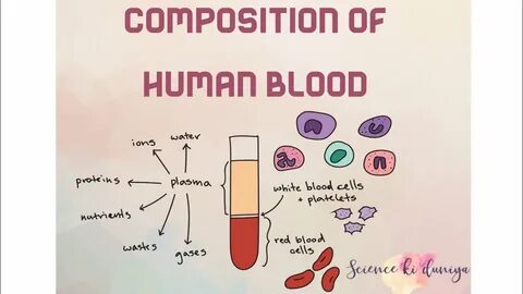 Make blood