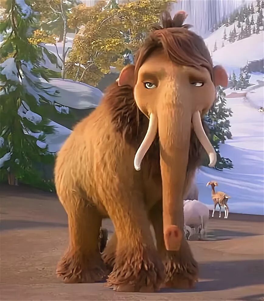 Baby Peaches is just like the fruit she was named after. (With images) Ice age