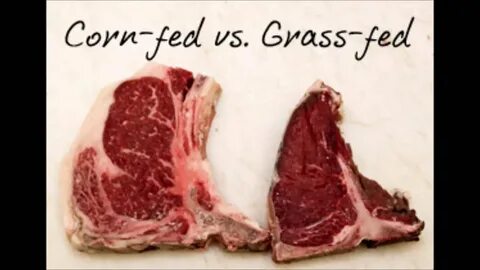 Grass fed