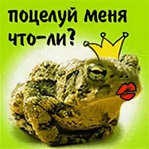 Ну целую меня целую