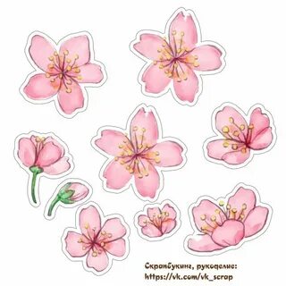Цветы яблони из бумаги шаблоны для вырезания