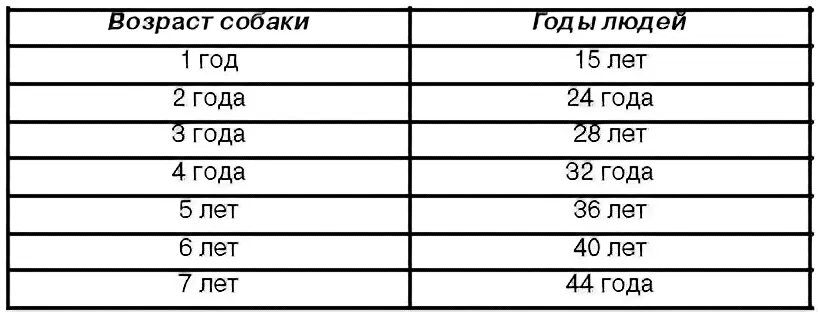 1 год жизни собак. 1 Год собачьей жизни равен человеческой. Собачьи годы жизни. Собачий год равен. Собачий год равен человеческому.