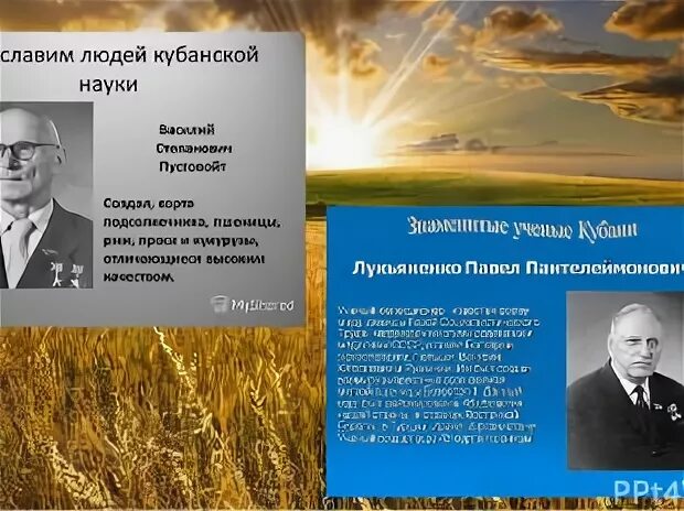 Лукьяненко труженик кубани. Труженики кубани. Труженики кубани пустовойт. Земляки труженики кубани. Труженики кубани известные люди.
