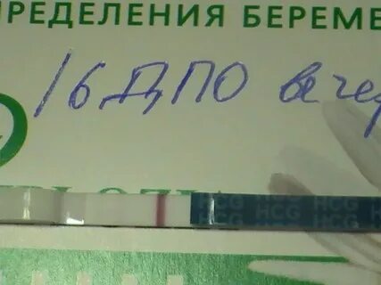16 дней после