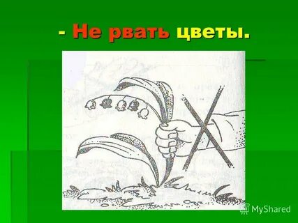 Мп3 не рви цветы