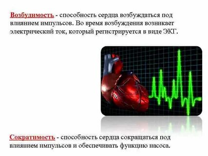 Сердце сокращается под влиянием импульсов