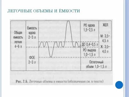 Объемы легочного воздуха