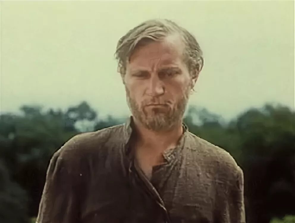 20.06 1978