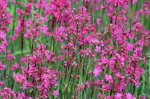 i?id=2a00000179f87bf1945d75e9b4770bcad16