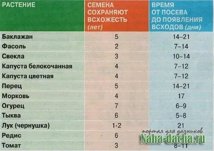 Через сколько дней всходят помидоры из семян. Срок прорастания семян томатов на рассаду. Срок всхожести семян перца. Срок всхожести семян томатов. Сроки всхода семян перца.