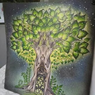 Зачарованный лес