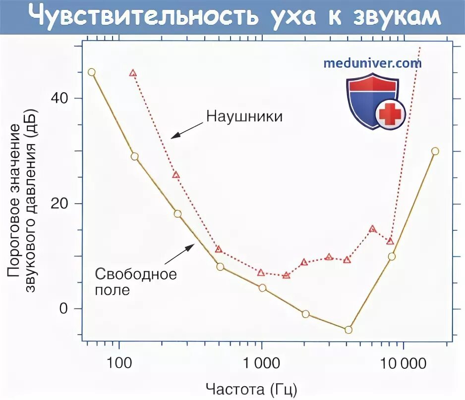 Чувствительные уши к звукам. Чувствительность уха к звуку. Чувствительность уха к разным частотам. Чувствительность уха от частоты. Диапазон чувствительности уха человека.