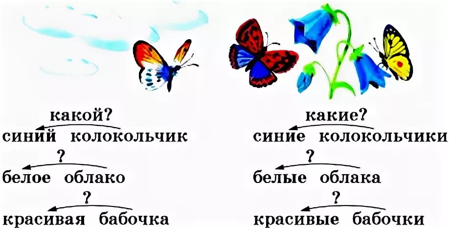 Число прилагательных 2 класс школа россии. Единственное и множественное число имен прилагательных 2 класс. Множественное число прилагательных 2 класс. Единственное и множественное число во 2 классе прилагательное. Имя прилагательное 2 класс единственное и множественное число.