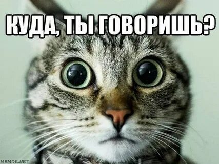 Эх ну
