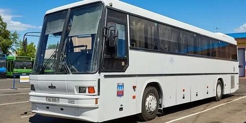 Минск варшава автобус
