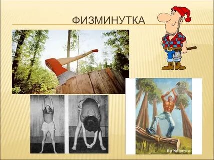 Степа колет