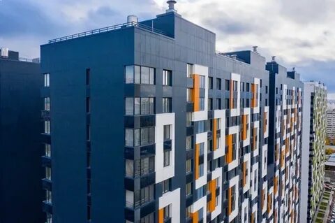 Дмитровское 55