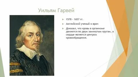 Уильям гарвей открытия в биологии