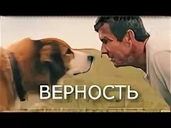 Верность Майданов. Клип верность. Песня верность Майданов. Песня про преданность 2010. Верность mp3