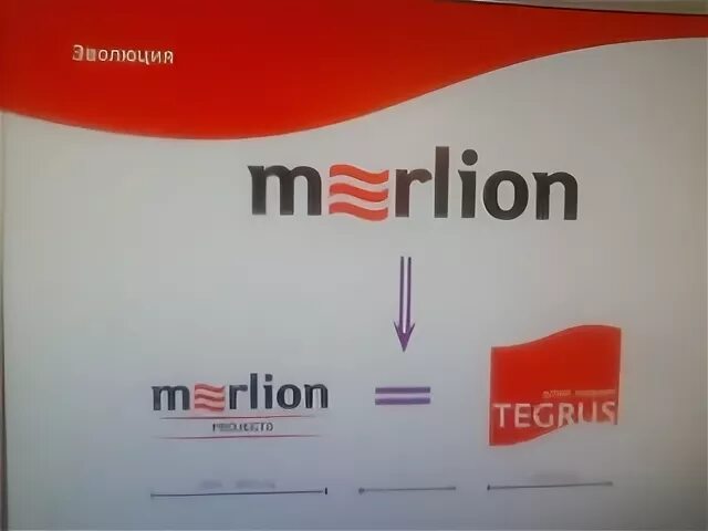 Мерлион b2b