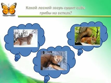 Какое лесное животное не любил пушкин