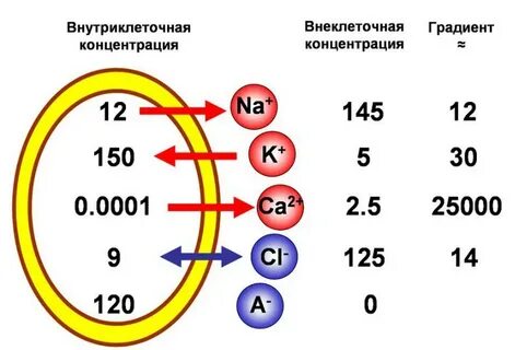 Соотношение концентраций
