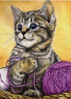 Рис кошка
