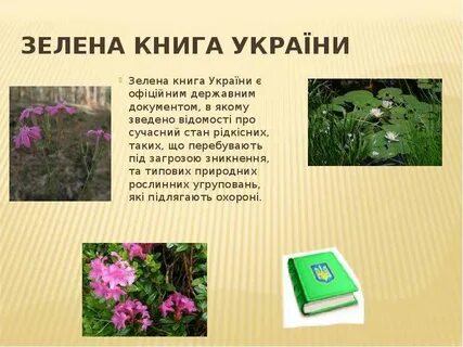 Зеленая книга виды