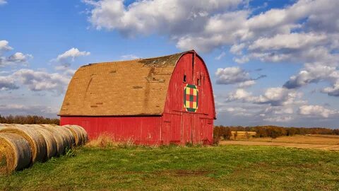 Farm 8