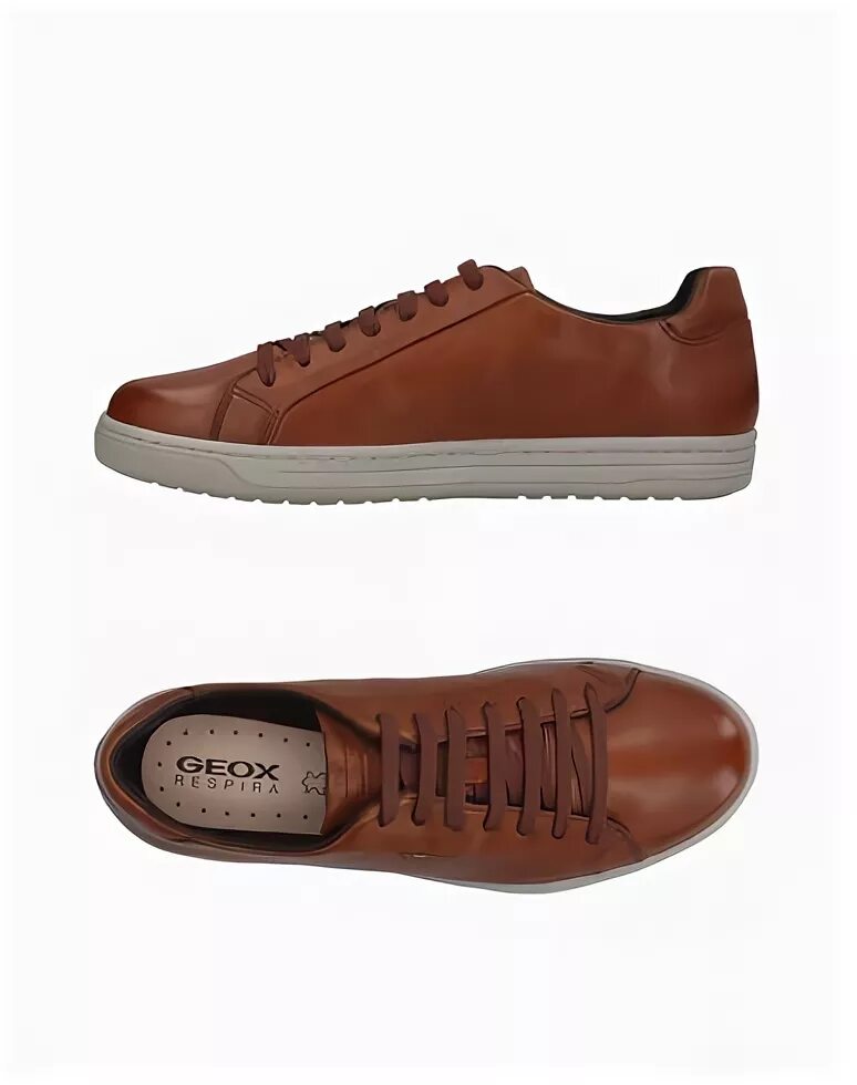 Geox sukie woman dark beige/taupe. Ботинки geox коричневый терракотовый. Geox кеды коричневые. Geox мужская обувь коричневая. Geox туфли мужские коричневые.