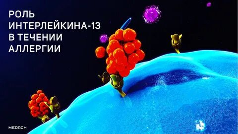 Течение аллергии