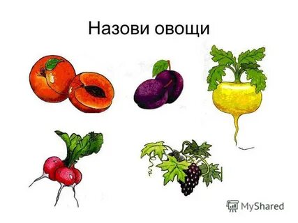 Назови овощи