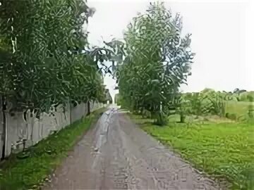 Фроловское шаховская