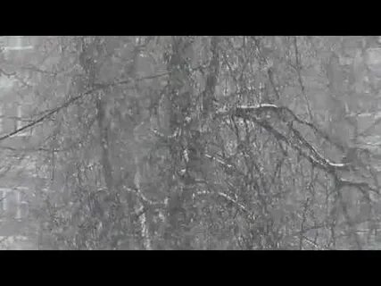 Слушать песню такого снегопада давно