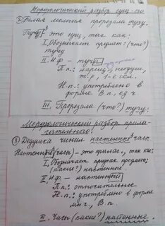 Заросли разбор 2