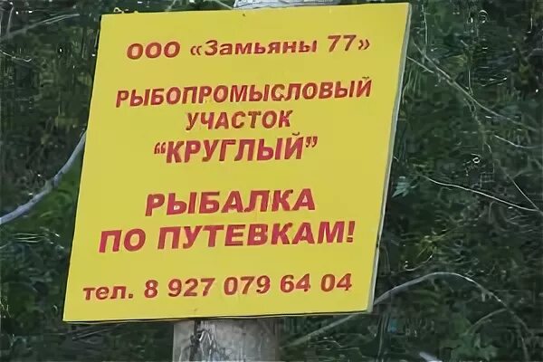 Нерестовый запрет в брянской области. Рыбалка запрещена. Аншлаг о запрете рыбалки. Аншлаг рыбалка запрещена. Водоем зарыблен рыбалка запрещена.