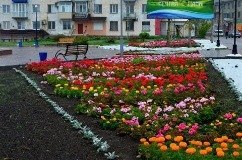 Цветы рабочий поселок