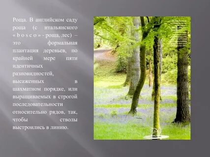 Тексты садов на английском