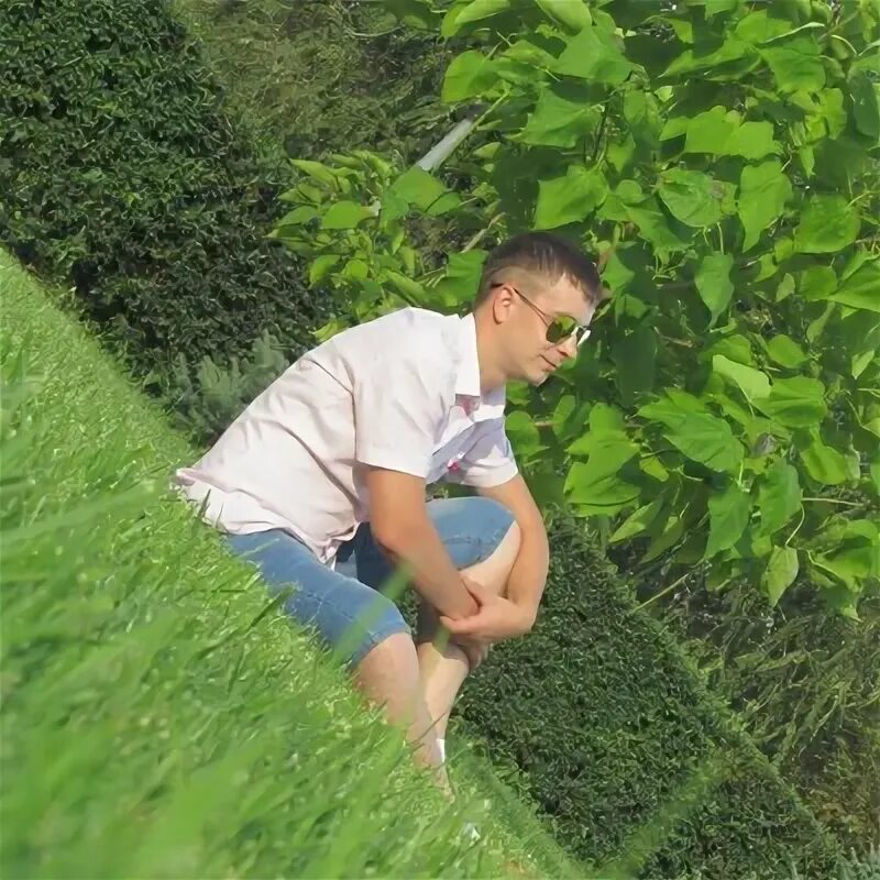 Ларкин фамилия. Ларкин фамилия