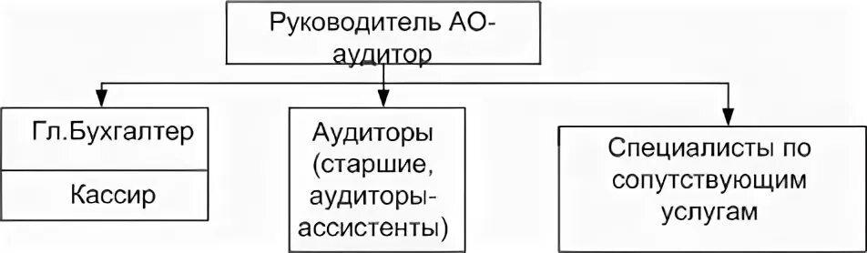 Состав аудиторской организации. Организационная структура аудиторской организации. Организационная структура аудиторской фирмы. Организационная структура аудиторской компании. Auditrskaja firma struktura.